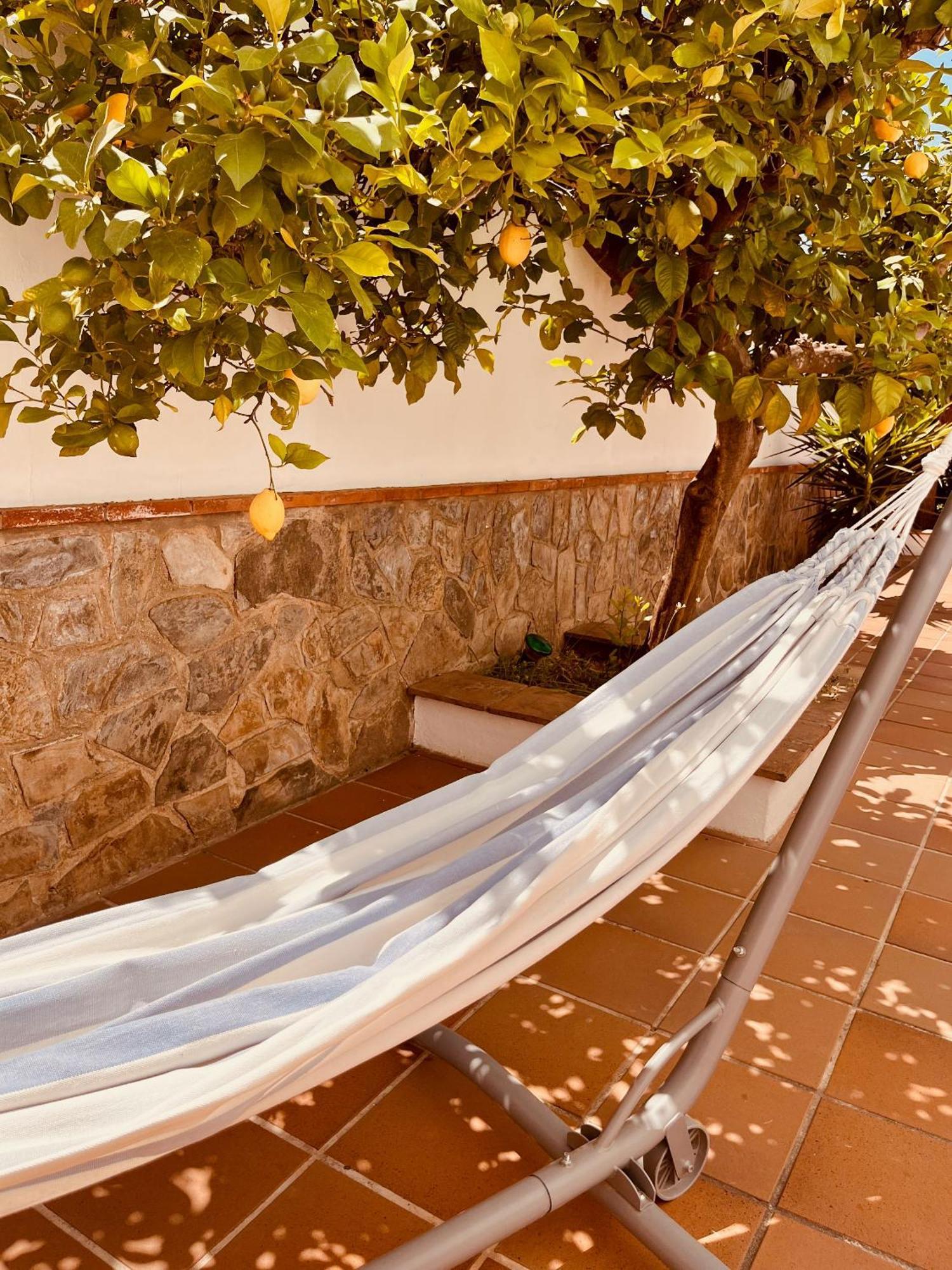 Alhaurín el Grande Casa Limon, Boutique Bed And Breakfast, Adults Only מראה חיצוני תמונה